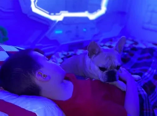 Xander sleeping in zPods bed